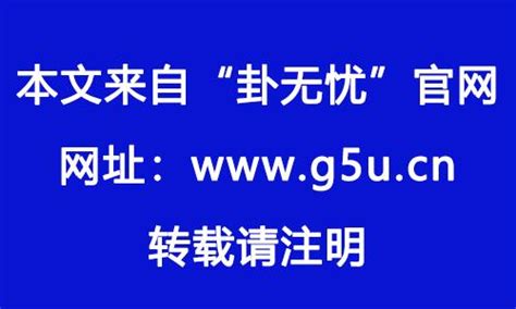 1982 生肖|1982年属什么 1982年属什么五行